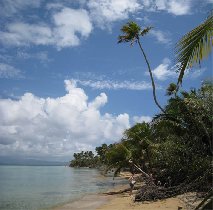 Green Beach (July 2008)