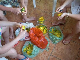 How we made mango wine (July 2008)