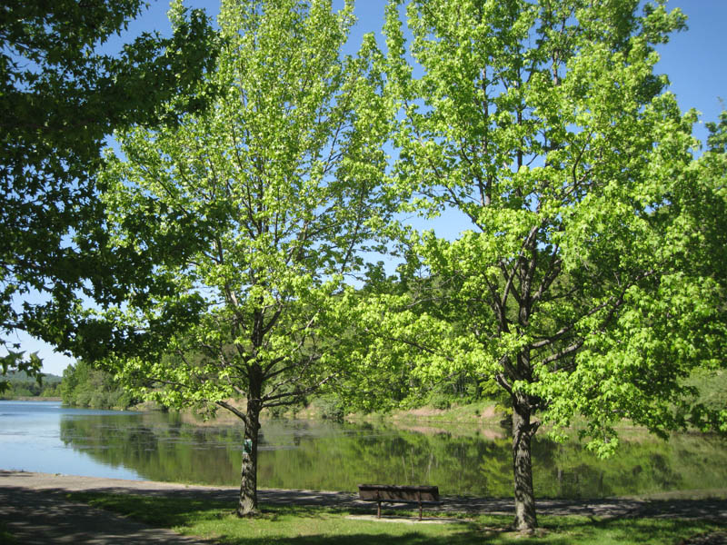 New Jersey (May 2008)