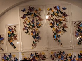 Butterfly People Art Gallery (July 2008)