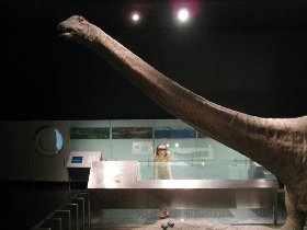 Barosaurus (August 2008)