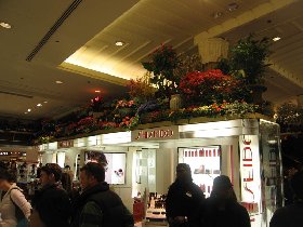 Macy's Flower Show (March 2008)