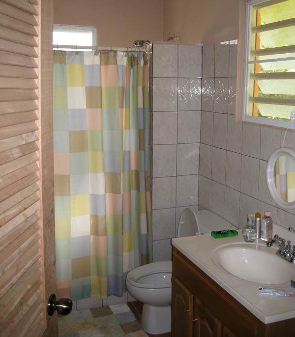 Bathroom (April 2008)