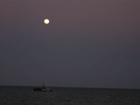 Moon and birds (April 2008)