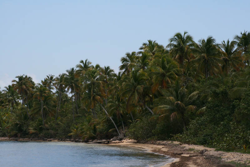 Green Beach (Aprl 2008)