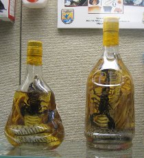 Wine with ginseng, cobra, and scorpion (April 2009)
