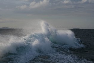 Wave behind the boat (April 2009)