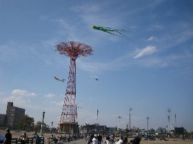 Flying octopus chasing a flying diver... (August 2009)