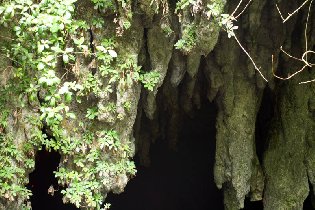 Camuy Caverns (August 2009)