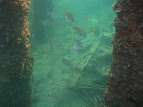 Old Pier in Esperanza (July 2009)