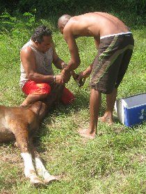 ...but the locals know that he needs a beer... (July 2010)