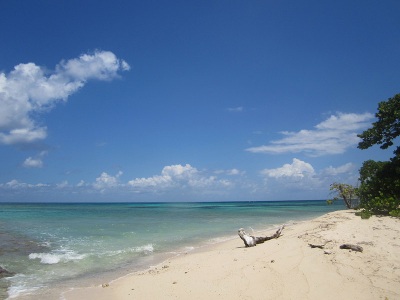 Vlet na Buck Island (August 2010)