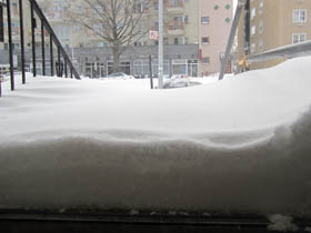 Blizzard 2010 (December 2010) Blizzard 2010 (December 2010)