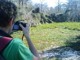 The photographer and the object - a wood stork ((mycteria americana)) in the distant corner (February 2010)