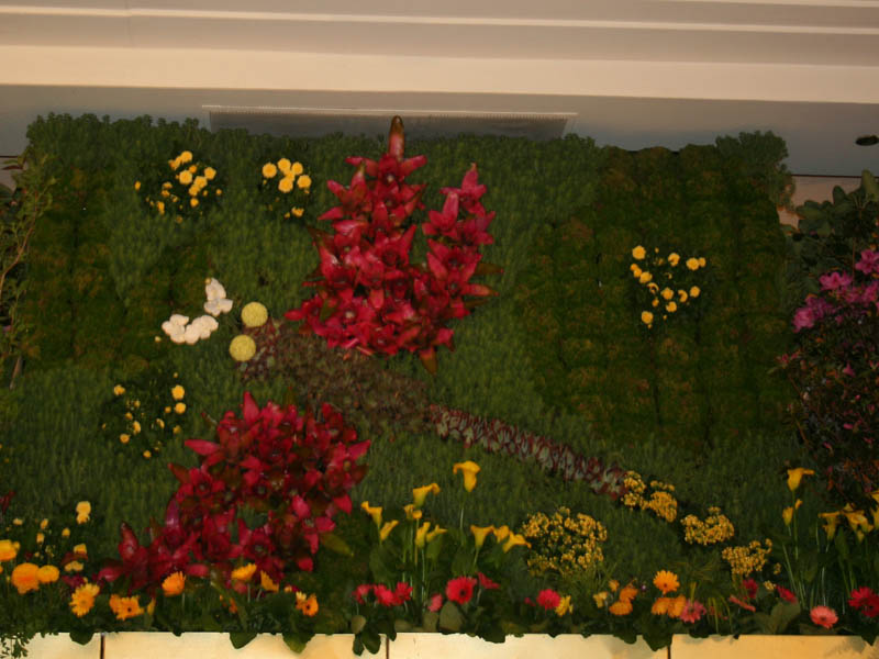 Macy's Flower Show (March 2010)