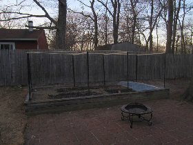 Hopefully the fence will help deter all the rabbits, squirrels, deers, and such (March 2011)