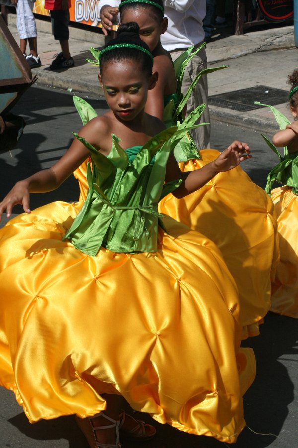 The carnival parade (July 2011)