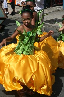 The carnival parade (July 2011)