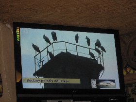 We've seen them on the way here (August 2011)