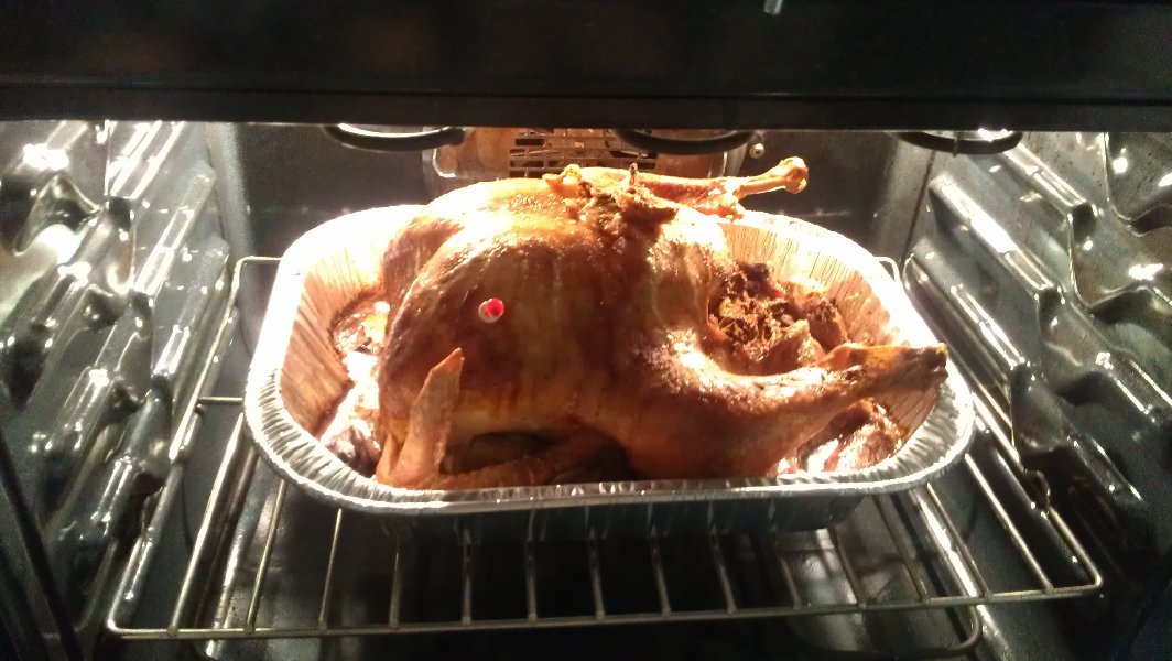 The turkey (November 2011)