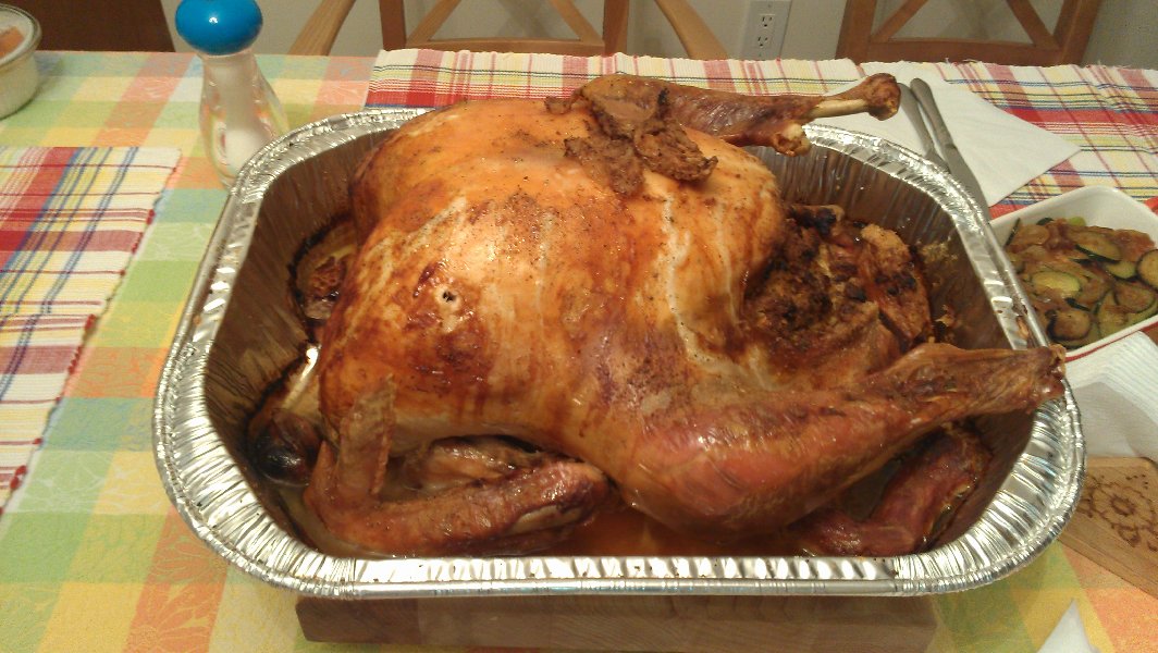 The turkey (November 2011)