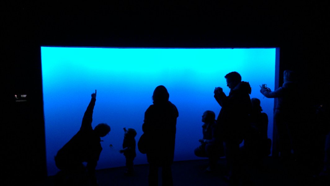New York Aquarium (January 2012)