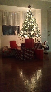 Christmas (December 2012)