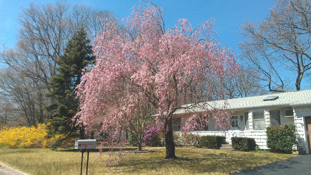 The spring is here (April 2013)