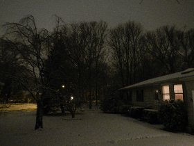 We got snow - the first real snow this season (January 2013)