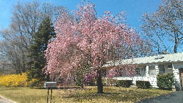 The spring is here (April 2013)