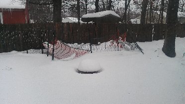 Blizzard (February 2013) Blizzard (February 2013)