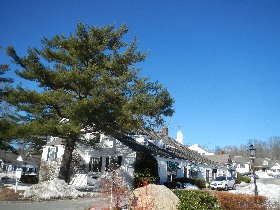 Stony Brook (February 2013)