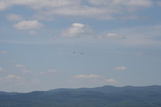 MiG-29  (July 2013)