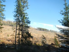 A heavy storm, few years ago, destroyed vast areas of forest (October 2013)