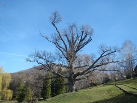 Kremnica (March 2014)