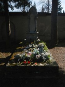 Grave of Sldkovi's Marna (March 2014)