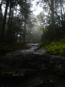 Hike to Black Mountain (August 2014)