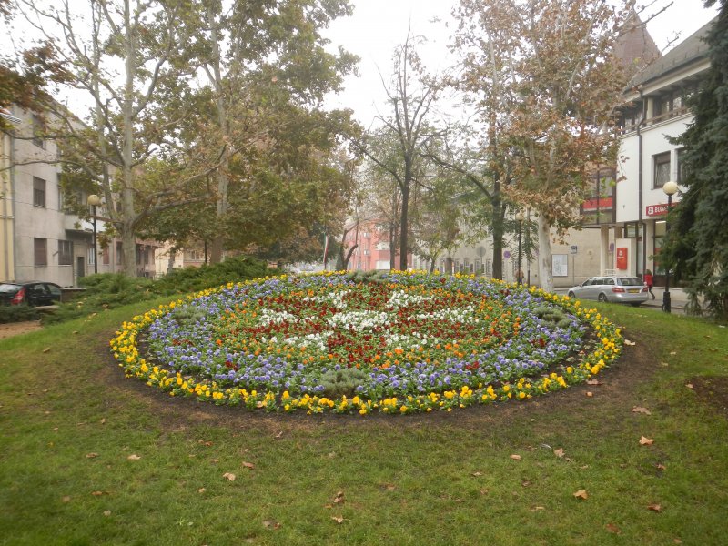 Virgra (flower clock) - hands removed for the winter (November 2014)