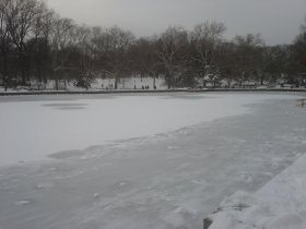 Frozen Conservatory Pond (January 2015)