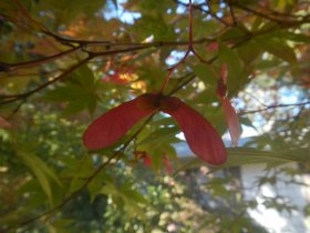 Beautiful autumn day (October 2015)