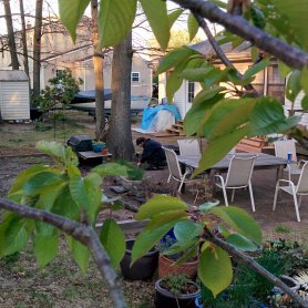 Organizing the garage (April 2016)