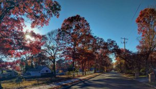 Autumn in Selden (November 2016) Autumn in Selden (November 2016)