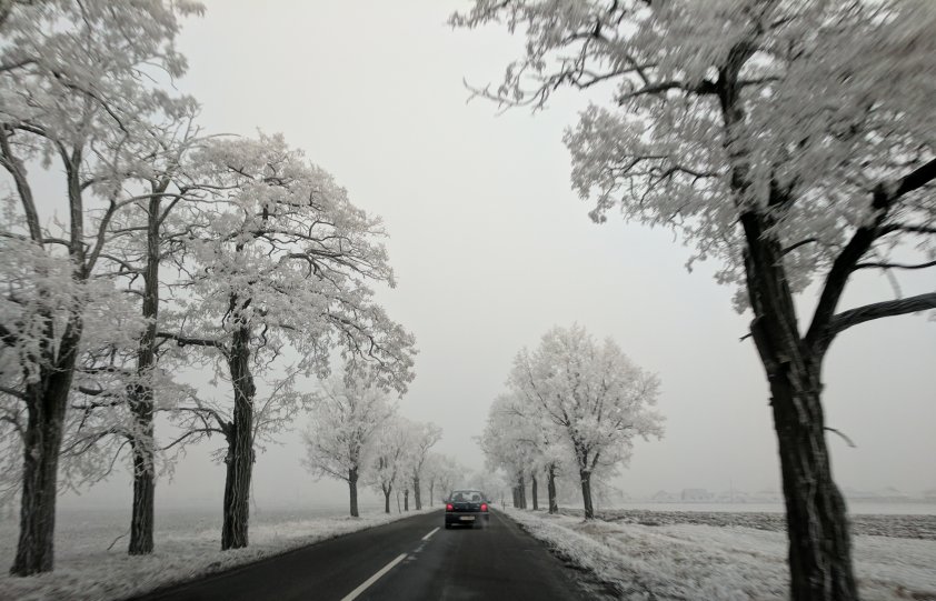 On New Year Day, far and wide everything's covered with rime (January 2017)