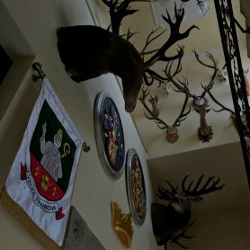 V kaštieli je ubytovaných hodne paroháčov (July 2017) V kaštieli je ubytovaných hodne paroháčov (July 2017)