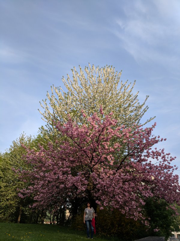 Spring near the memorial (April 2018)
