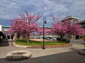 Spring cleaning (May 2018) Spring cleaning (May 2018)