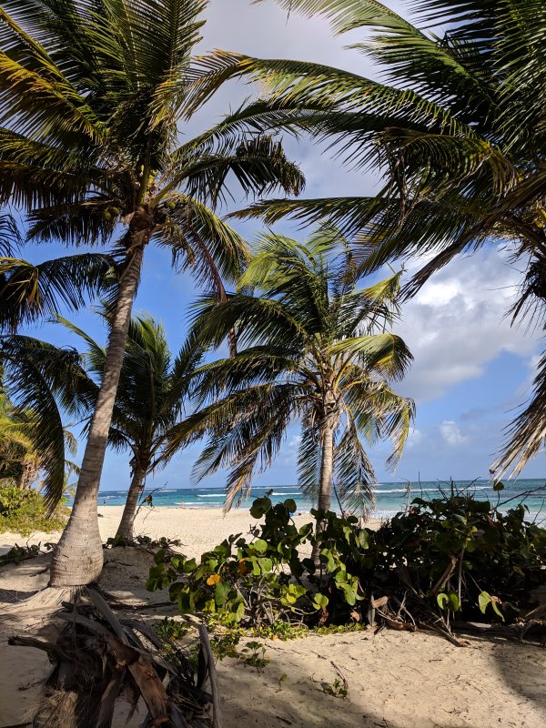 Trip to Culebra Island (January 2019)