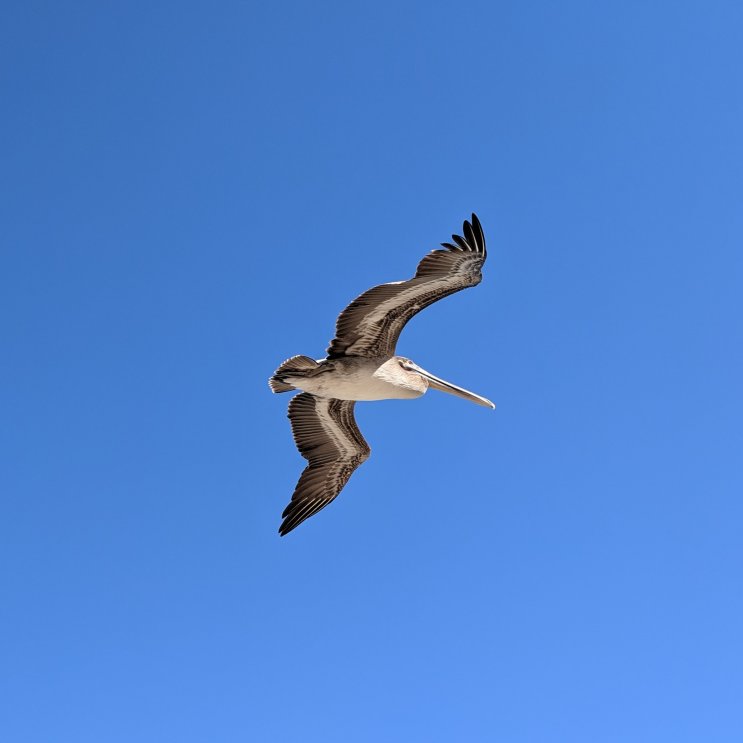 Trip to Culebra Island (January 2019)