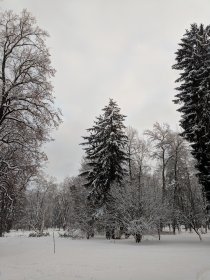 Slovakia (January 2019)