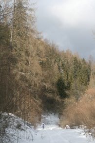 Trekking walks, snow, snowmen (February 2022)